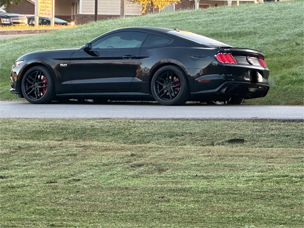 2015 Ford Mustang GT Coupe Premium's photo